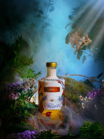 VIRGinIa virginia_1.jpg